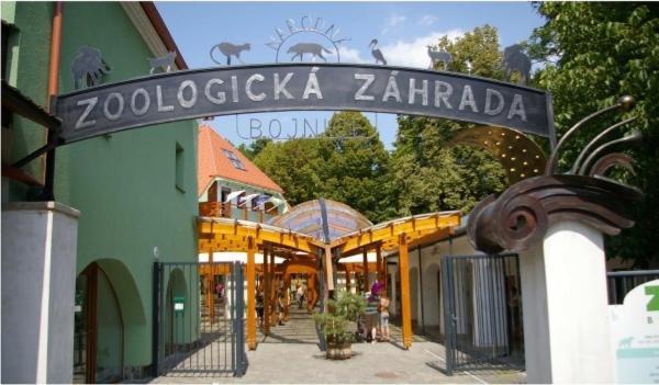 Rezidencia Pod Zamkom Bojnice Apartman Luna Bagian luar foto